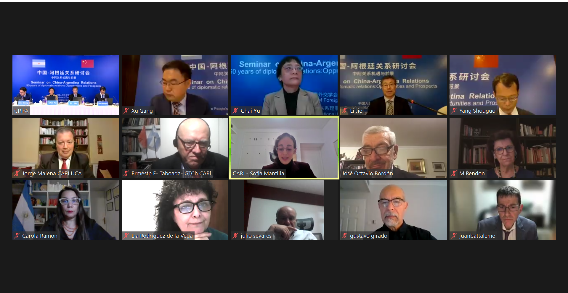 中国-阿根廷关系研讨会成功举办